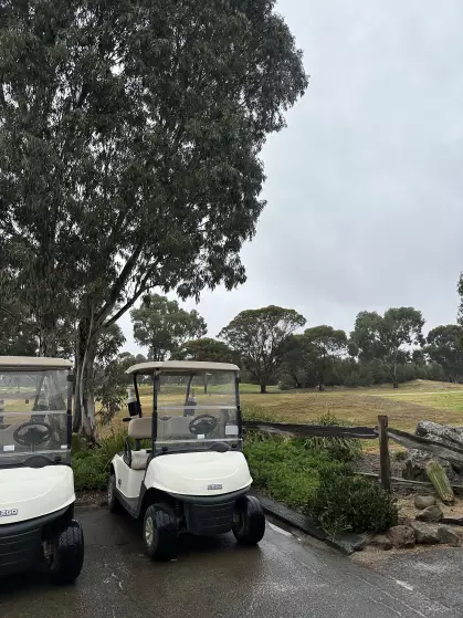 image-for-golf-carts-currently-not-permitted