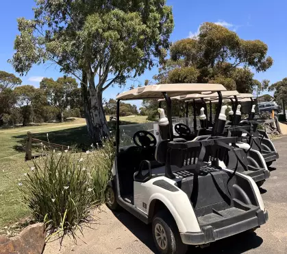 Golf Carts Unavailable Monday 6th May Morning