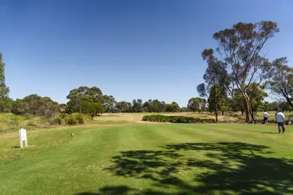 Hole 14
